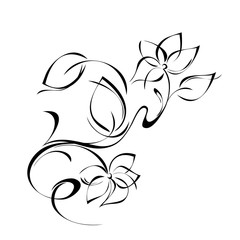 stylized sprig with flowers and leaves in black lines on white background