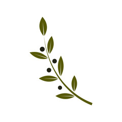 Olive Branch Flat Icon. Vector Illustration.