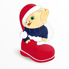 The Symbol of the New Year 2019 Pig in the Boot of Santa Claus