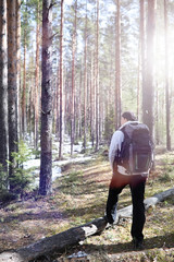 A man is a tourist in a pine forest with a backpack. A hiking trip through the forest. Pine reserve for tourist walks. A young man a hike in the spring.