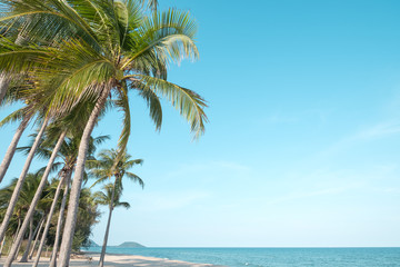 Fototapeta na wymiar Beautiful landscape of coconut palm tree on tropical beach (seascape) in summer. Summer background concept.