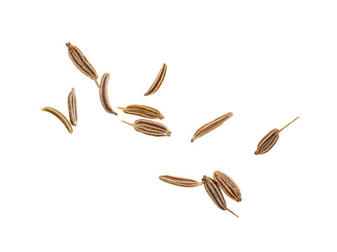 Close up of cumin seeds on white background. Top view.