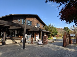 東京港野鳥公園