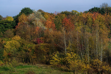 Fototapeta premium Autumn Scene