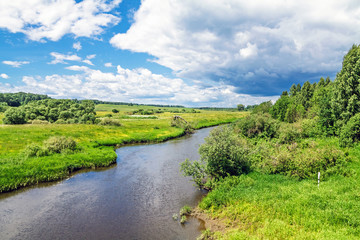 Fototapeta na wymiar Small river at the summer