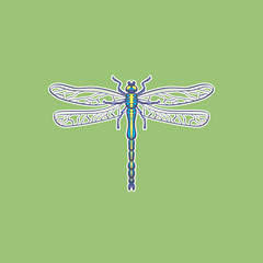 Dragonfly. illustration in vector 