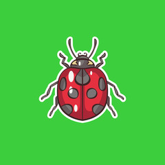 Ladybug. illustration in vector