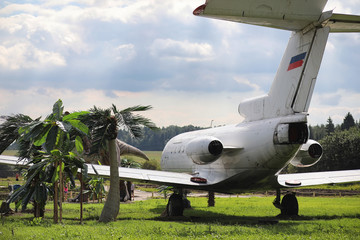Plane in the jungle. The plane landed in the dense vegetation of the palms. Journey to the island in the jungle.