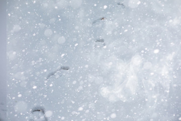 Winter landscape of country fields and roads