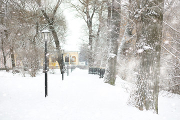 Winter landscape of country fields and roads