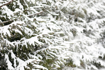 Winter landscape of country fields and roads