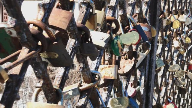 Locks on the fence of the bridge