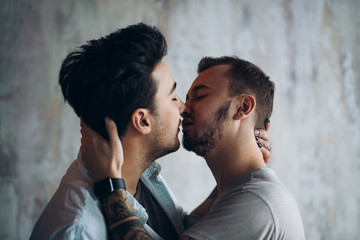 Homosexual couple kiss passionately, embracing, demonstrate good relationships and real love. Two male tourists enjoy winter vacation journey, kissing at hotel, have private gay party at home.