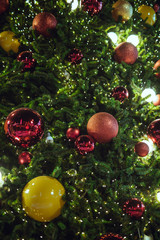 Obraz na płótnie Canvas Holiday Background with Christmas tree