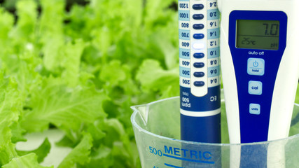 Digital pH meter tester and cup measure on white foam. vegetables salad in greenhouse hydroponics...
