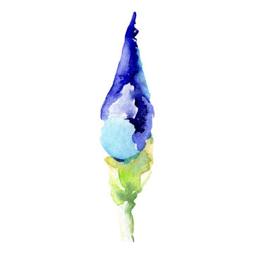 Blue iris botanical flower. Watercolor background illustration set. Watercolour drawing fashion aquarelle isolated.