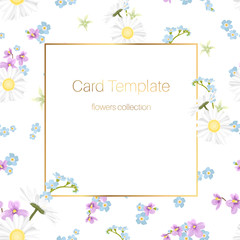Floral collection card template. Daisy chamomile, blue forget-me-not, purple violet viola bloom blossom. Rectangular square border frame. Fresh wild field meadow flowers mix on white background.