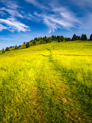 Mount Wysoki Wierch (Slachtovky) in summer. Pieniny Mountains, Polish-Slovakian border, view from polish side.