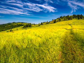 Fototapeta na wymiar Mount Wysoki Wierch (Slachtovky) in summer. Pieniny Mountains, Polish-Slovakian border, view from polish side.
