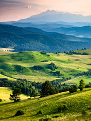 Pieniny Mountains in summer. View from Wysoki Wierch toward Spis Magura and High Tatras.
