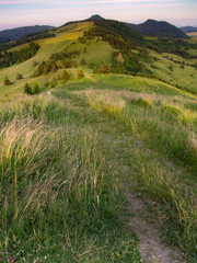 Fototapeta na wymiar Pieniny Mountains in summer at sunset. View from Wysoki Wierch toward Wysoka Mount.