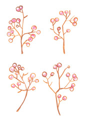 Set of four small branches with cute pale pink berries. Nature illustration painted in watercolor on clean white background 