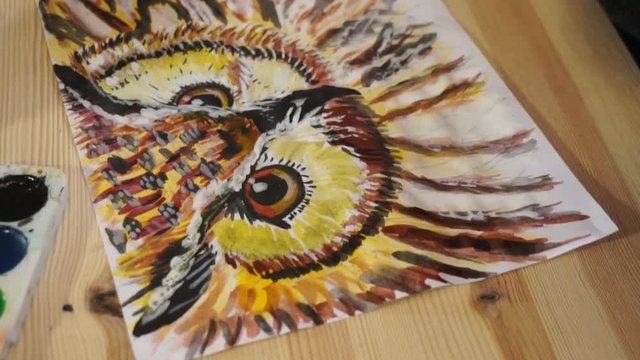 Drawing owl with paints