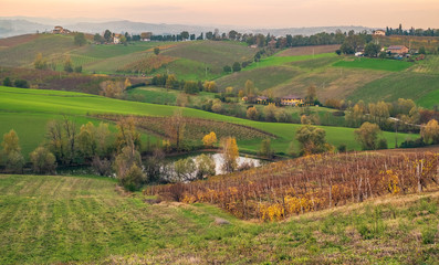 Fototapeta na wymiar Cultivated fields and vineyards in the southwest of Bologna: Protected Geographical Indication area of typical wine named 