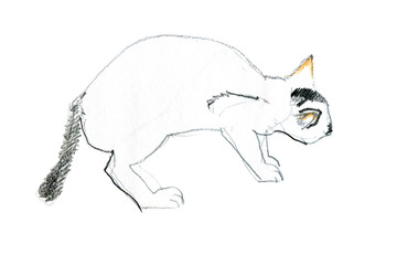 White cat with a black tail backs off. Hand paint pencils sketch. Illustration isolated on white.