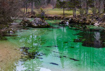 Beautiful natural wonder, green river in the alps
