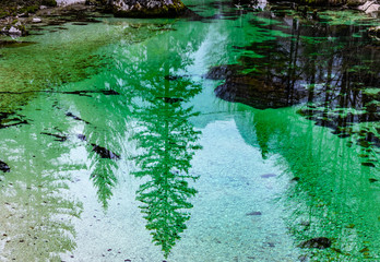 Beautiful natural wonder, green river in the alps