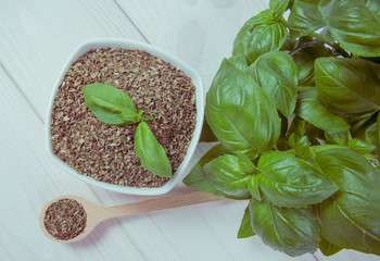 Fresh and dried basil on a wooden background.