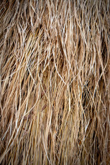Closeup photo of stack of the rice straw. The texture background photo.