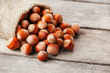 Hazelnuts in a cover, poured out from a bag from burlap on a gray wooden table