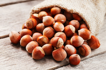 Hazelnuts in a cover, poured out from a bag from burlap on a gray wooden table
