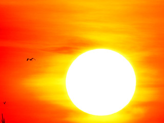 Close up of sunlight