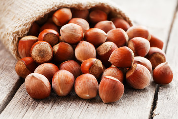 Hazelnuts in a cover, poured out from a bag from burlap on a gray wooden table