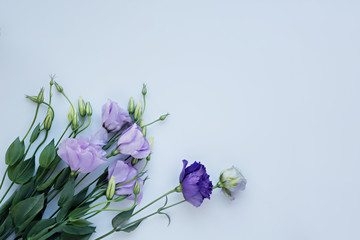 purple eustomas bouquet on a white background