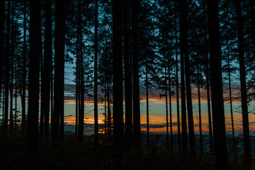 Dusk behind forest