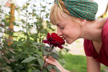 young woman smelling fresh red rose with dew 