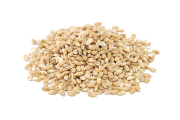 pearls barley grain seed on background