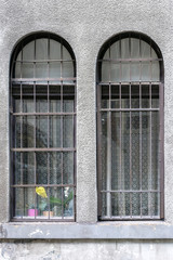 Two windows with bars.