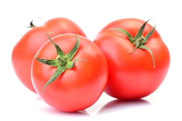 Tomatoes on a white background