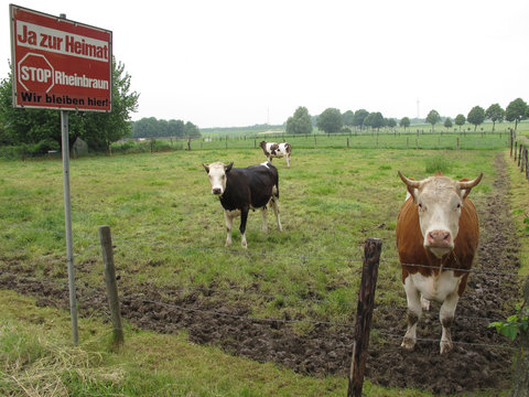 Protestschild am Rande einer Kuhweide in Keyenberg im Rheinischen Braunkohlerevier