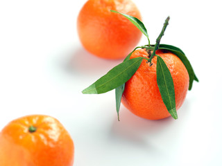Tangerines with leaves on a pure white background
