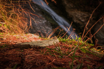 Stone lying on forest ground with waterfall in the background