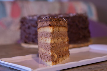 Chocolate coconut cake with shreded coconuts