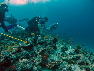 Obraz na płótnie Canvas Divers attach themselves using reef hooks in currents in the Maldives