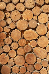 wood round timber background close up. wooden pattern