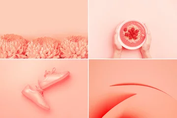 Collage aus vier Fotos in trendiger Farbe Living Coral. Trendfarbe des Jahres 2019: Living Coral. © Olga Zarytska